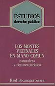 Imagen de portada del libro Los montes vecinales en mano común