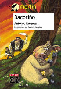 Imagen de portada del libro Bacoriño