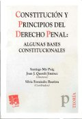 Imagen de portada del libro Constitución y principios del derecho penal