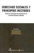 Imagen de portada del libro Derechos sociales y principios rectores