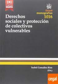 Imagen de portada del libro Derechos sociales y protección de colectivos vulnerables