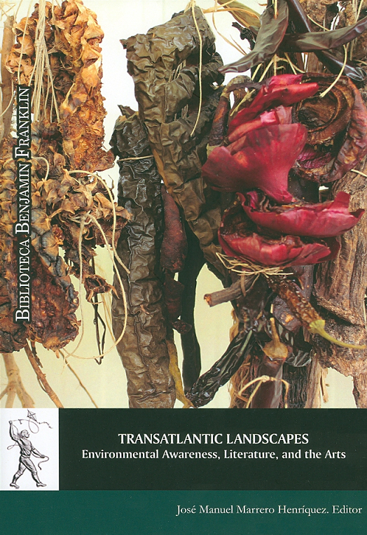 Imagen de portada del libro Transatlantic landscapes
