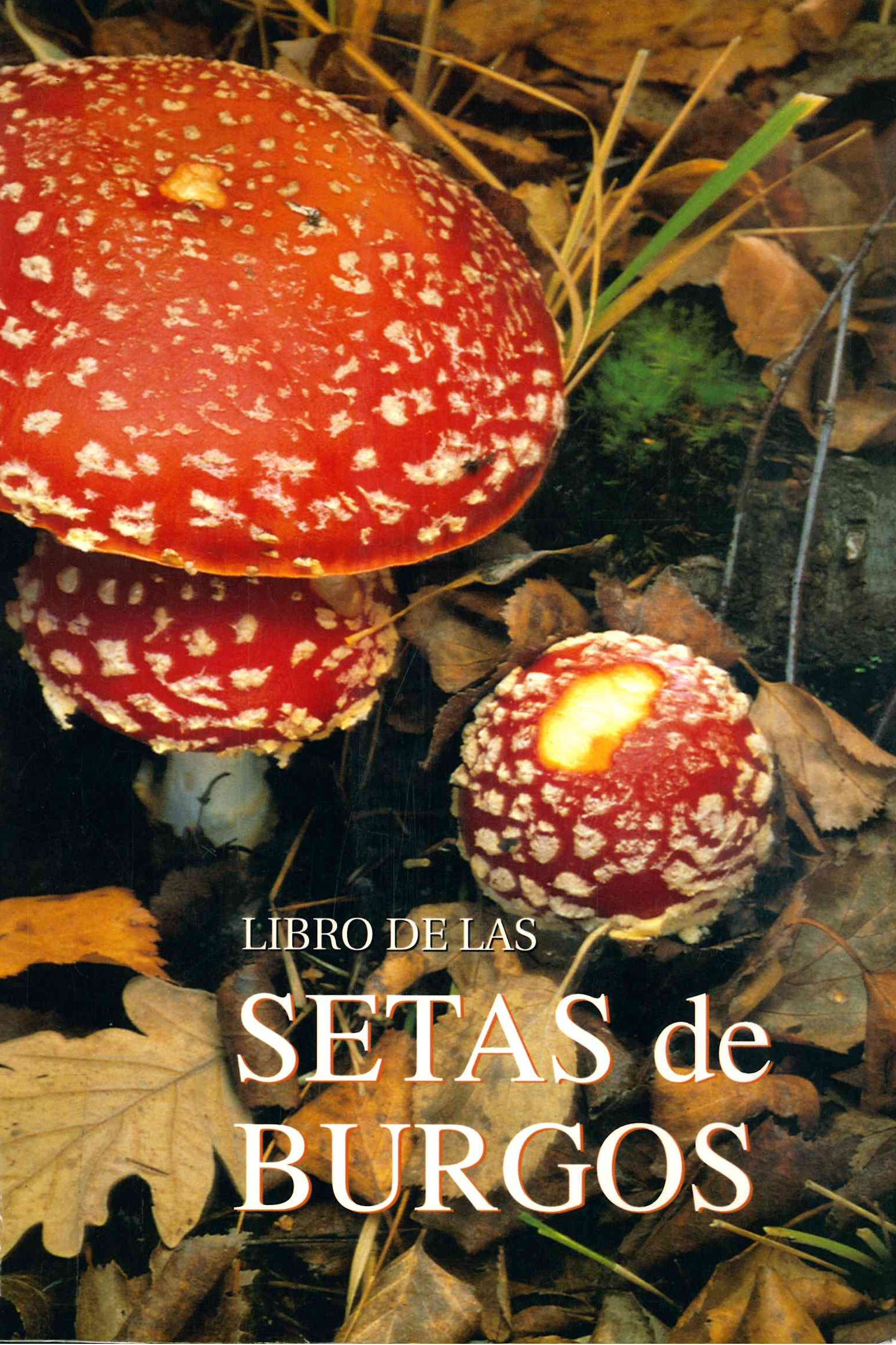 Imagen de portada del libro El libro de las setas de Burgos