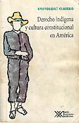 Imagen de portada del libro Derecho indígena y cultura constitucional en América