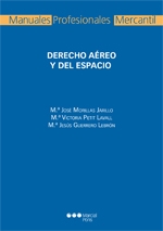 Imagen de portada del libro Derecho aéreo y del espacio
