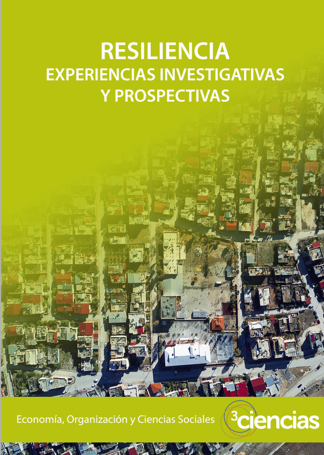 Imagen de portada del libro Resiliencia