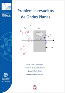 Imagen de portada del libro Problemas resueltos de ondas planas