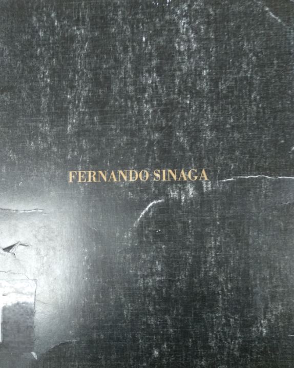 Imagen de portada del libro Fernando Sinaga