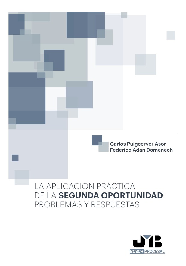 Imagen de portada del libro La aplicación práctica de la segunda oportunidad