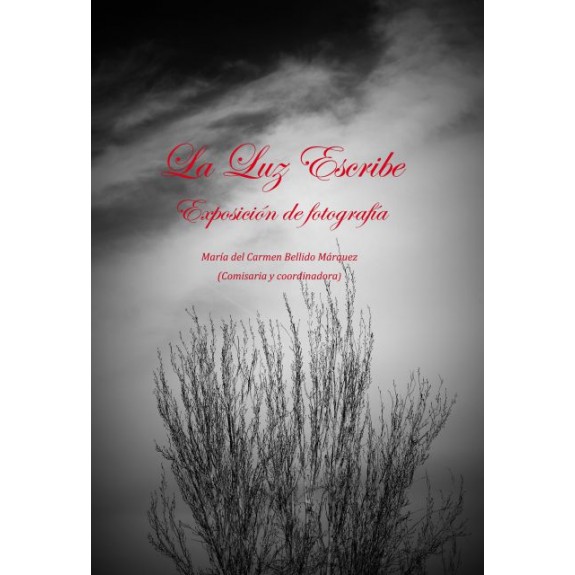 Imagen de portada del libro La luz escribe.