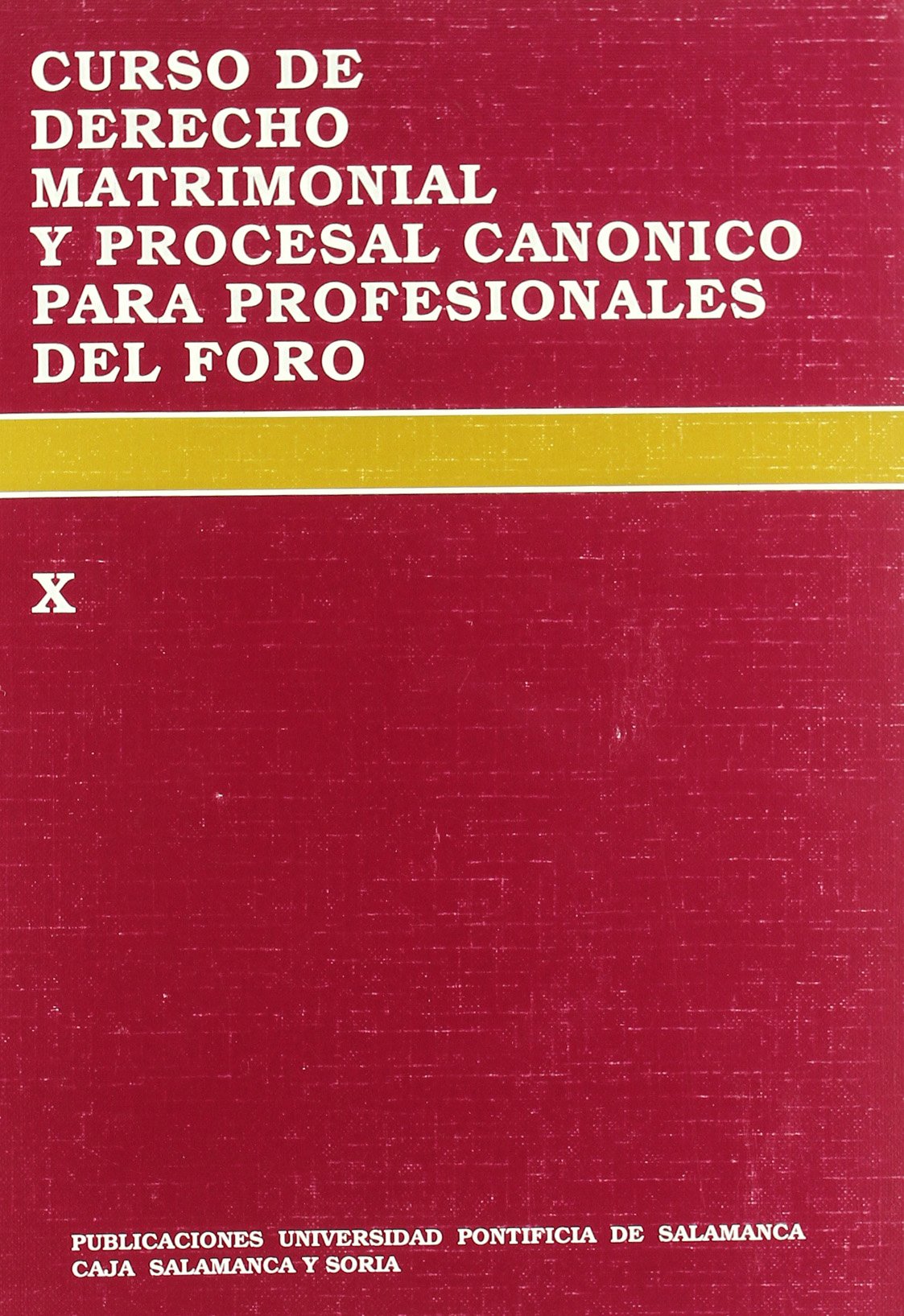 Imagen de portada del libro Curso de derecho matrimonial y procesal canónico para profesionales del foro (X)