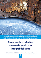 Imagen de portada del libro Procesos de oxidación avanzada en el ciclo integral del agua
