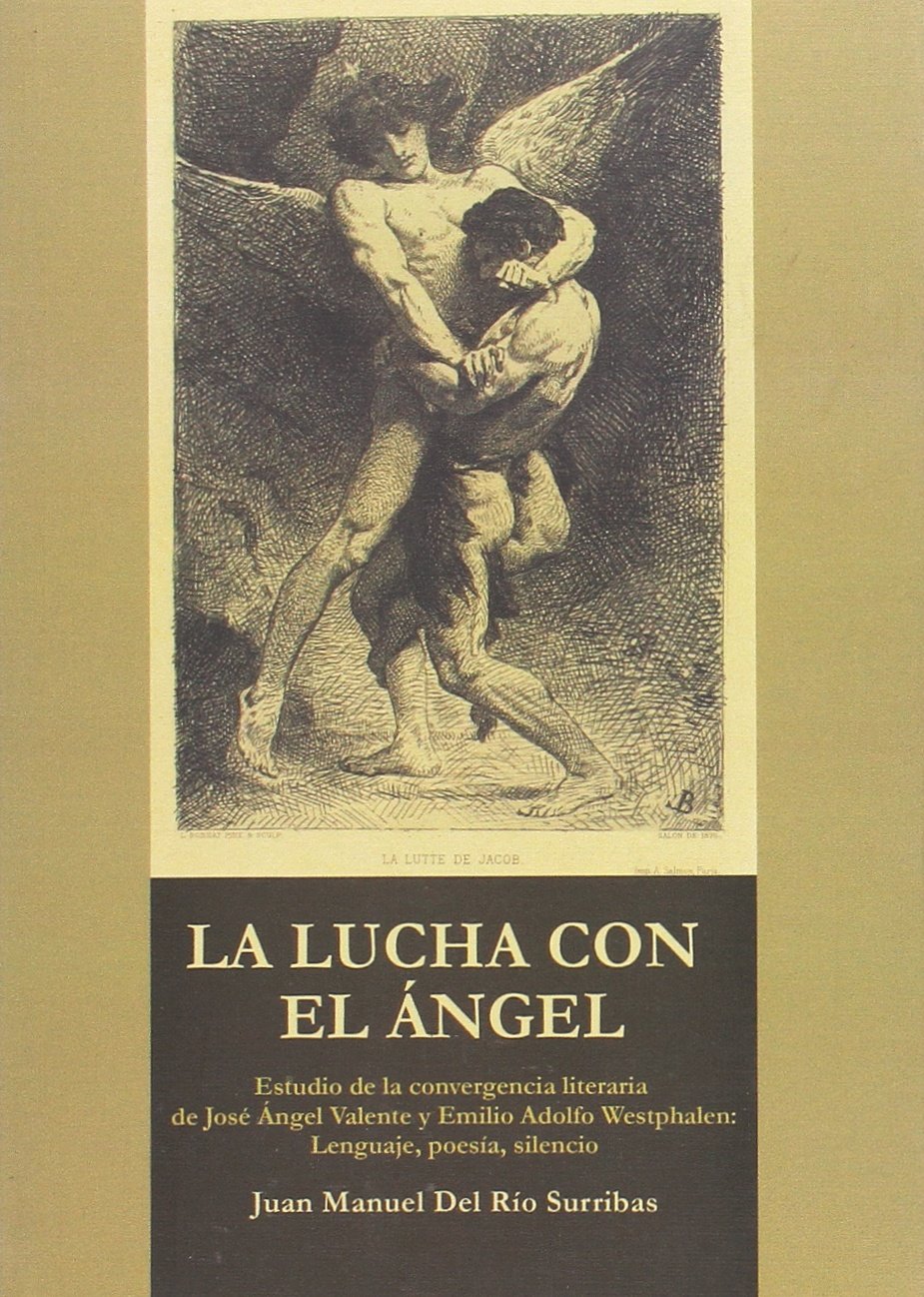 Imagen de portada del libro La lucha con el ángel