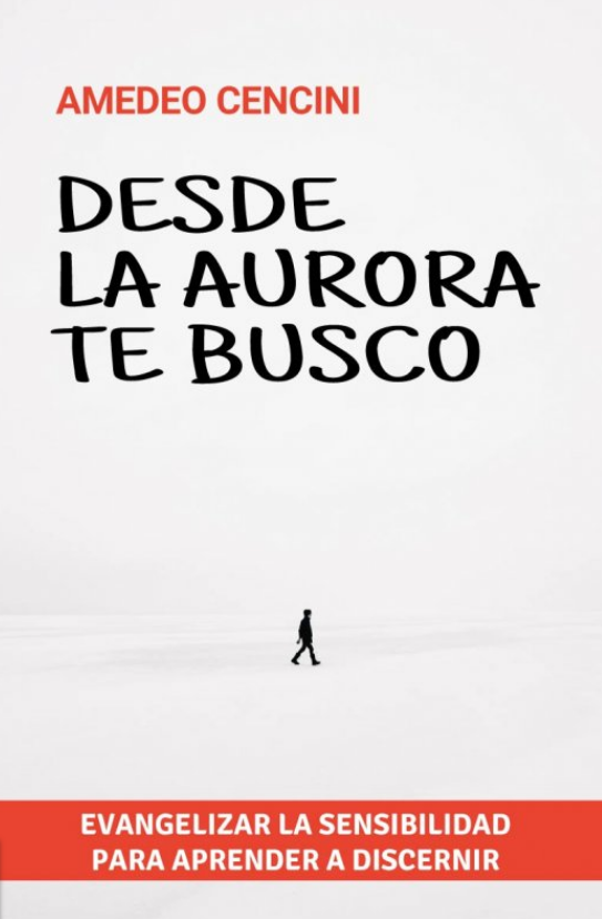 Imagen de portada del libro Desde la aurora te busco