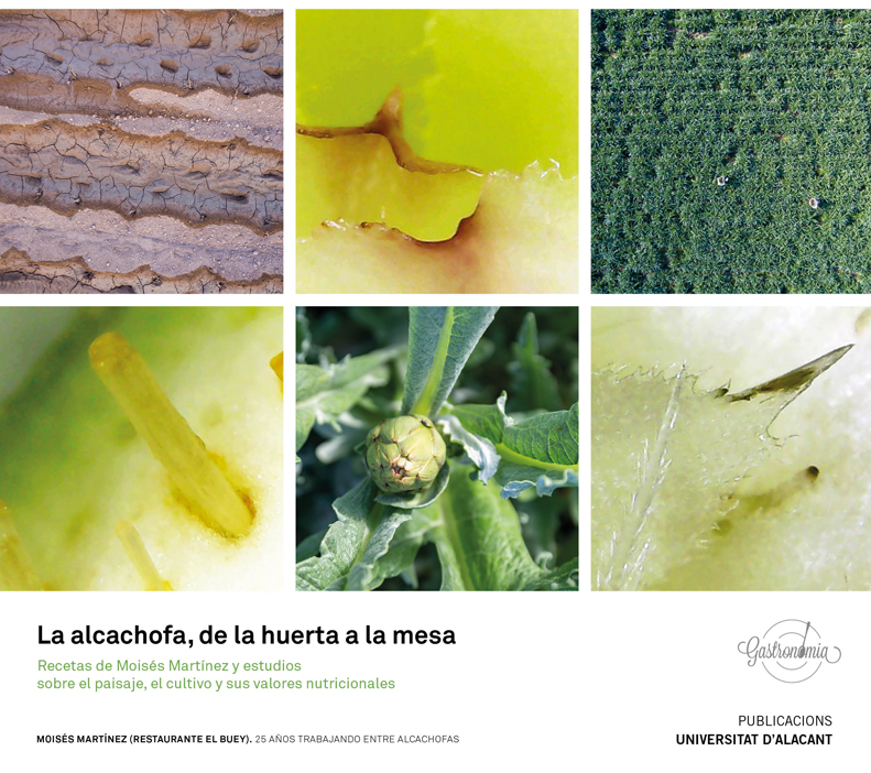Imagen de portada del libro La alcachofa, de la huerta a la mesa