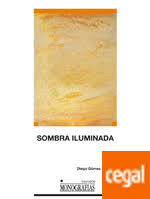 Imagen de portada del libro Sombra iluminada