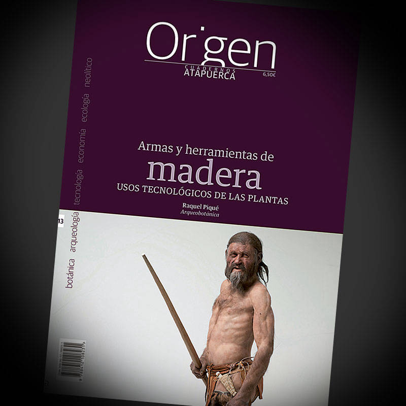 Imagen de portada del libro Armas y herramientas de madera