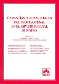 Imagen de portada del libro Garantías fundamentales del proceso penal en el espacio judicial europeo