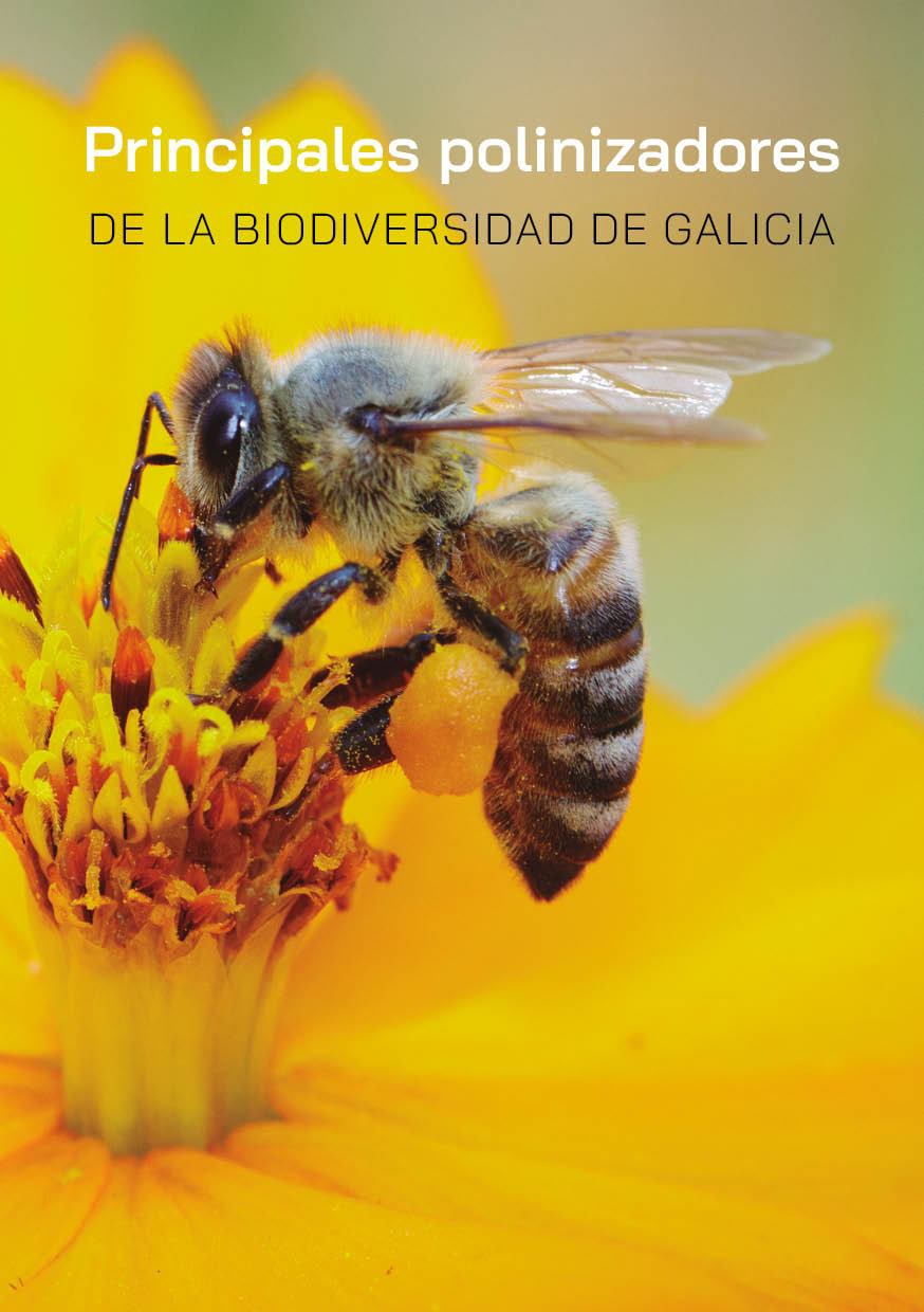 Imagen de portada del libro Principales polinizadores de la biodiversidad de Galicia