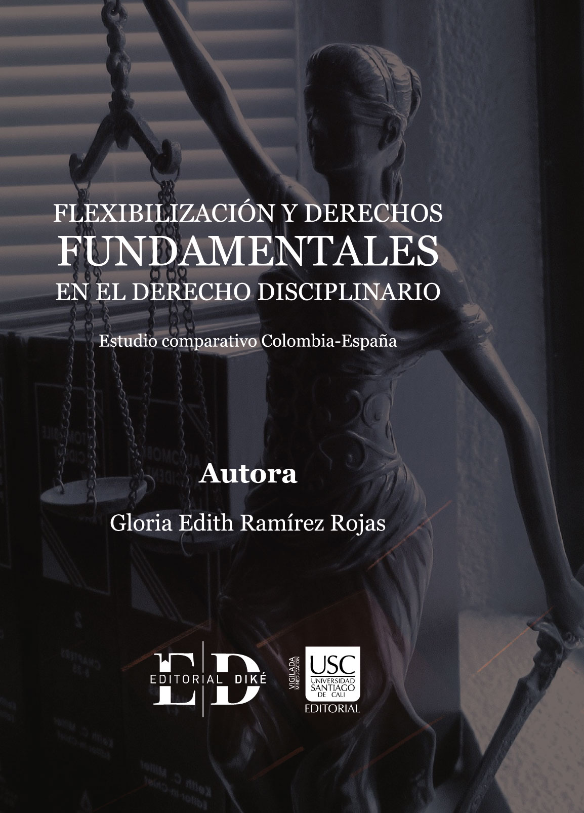 Imagen de portada del libro Flexibilización y derechos fundamentales en el derecho disciplinario :