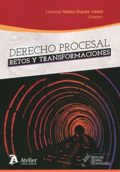 Imagen de portada del libro Derecho procesal