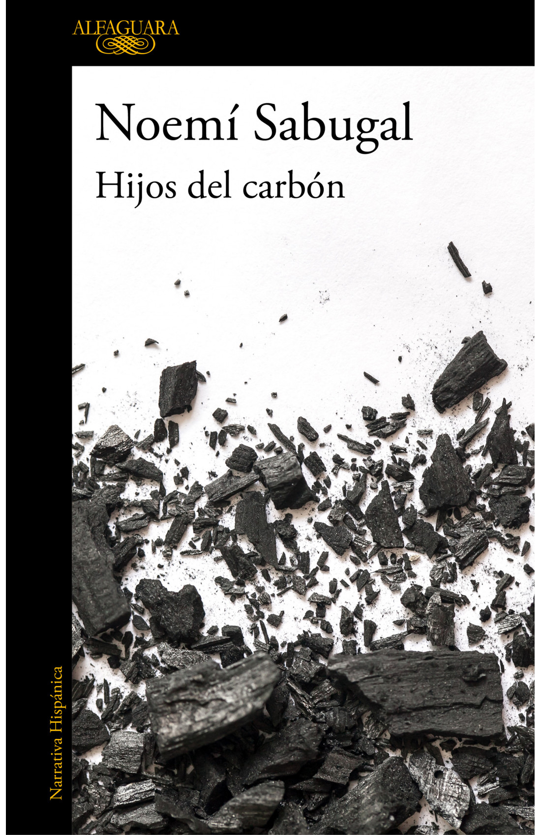 Imagen de portada del libro Hijos del carbón