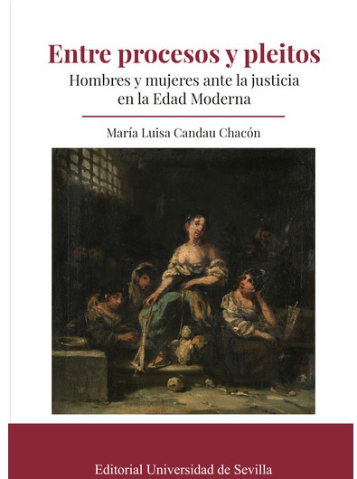 Imagen de portada del libro Entre procesos y pleitos