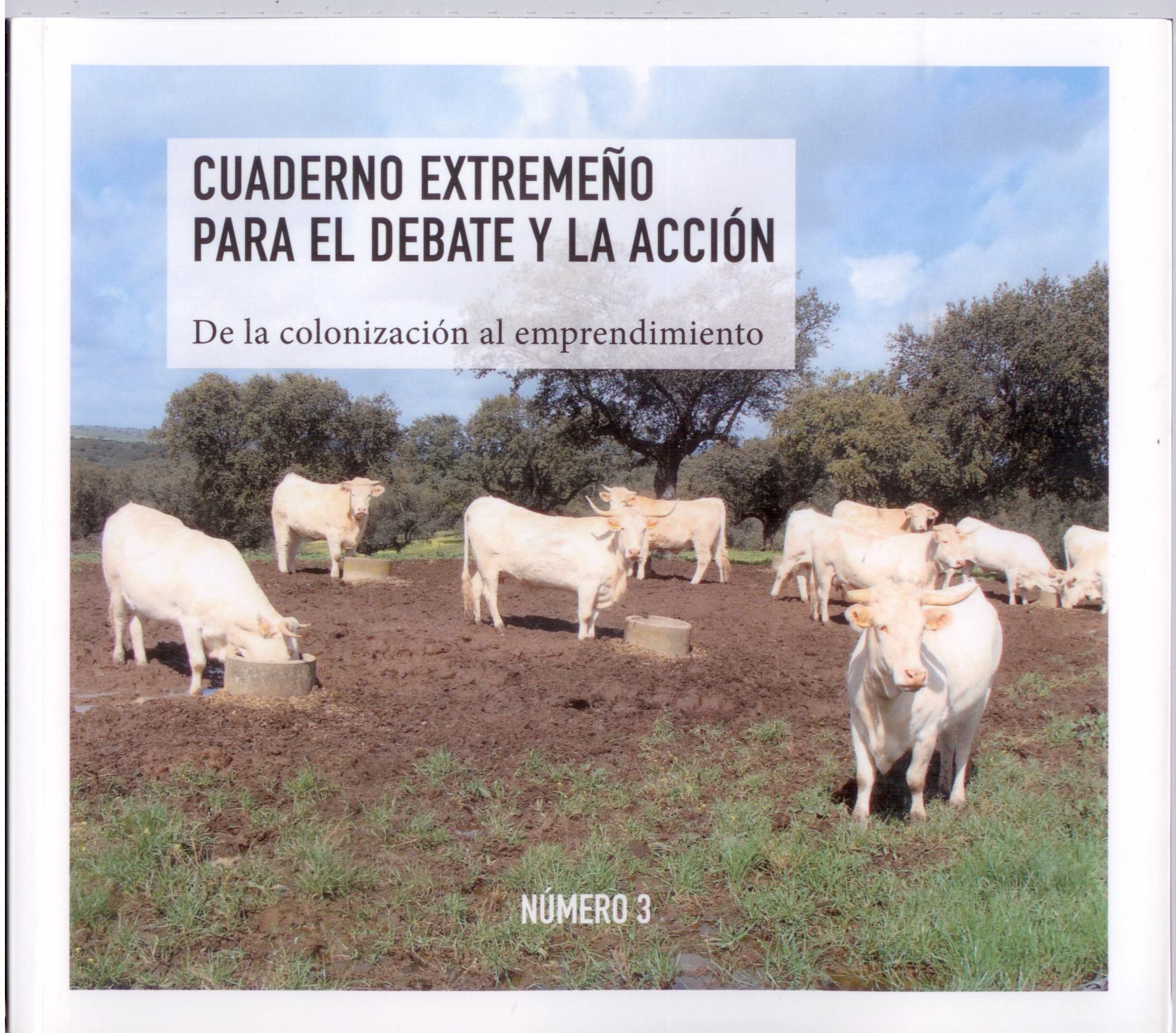 Imagen de portada del libro Cuaderno extremeño para el debate y la acción III