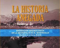 Imagen de portada del libro La historia anegada