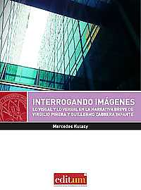 Imagen de portada del libro Interrogando imágenes