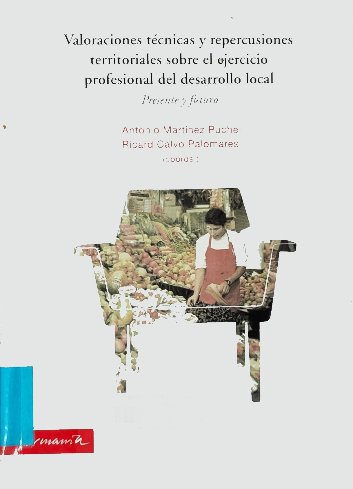 Imagen de portada del libro Valoraciones técnicas y repercusiones territoriales sobre el ejercicio profesional del desarrollo local