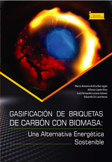 Imagen de portada del libro Gasificación de briquetas de carbón con biomasa: una alternativa energética sostenible