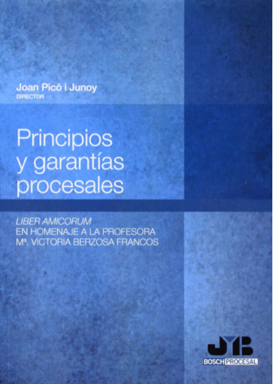 Imagen de portada del libro Principios y garantías procesales