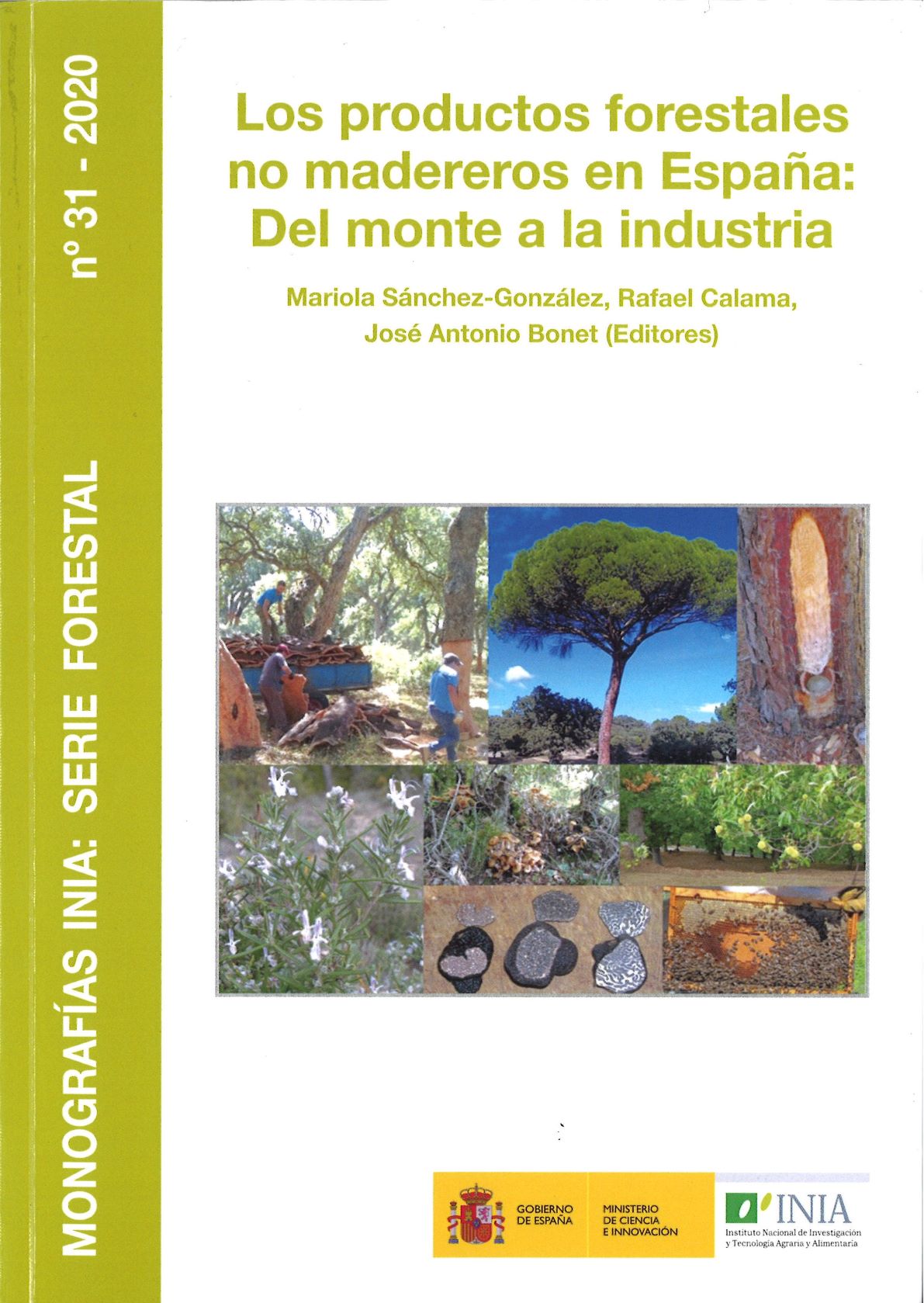 Imagen de portada del libro Los productos forestales no madereros en España