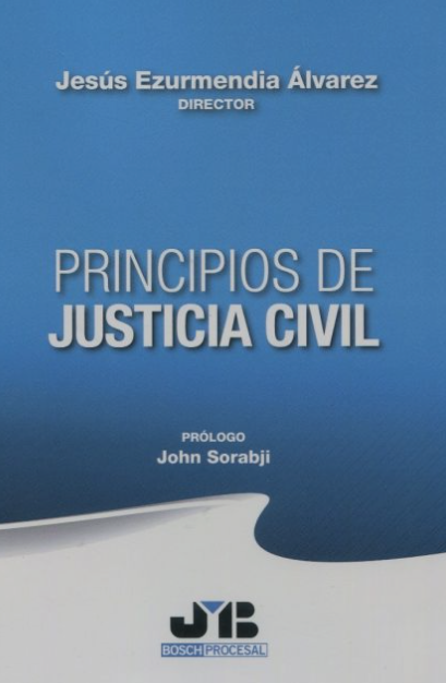 Imagen de portada del libro Principios de justicia civil