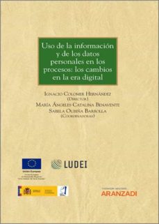 Imagen de portada del libro Uso de la información y de los datos personales en los procesos