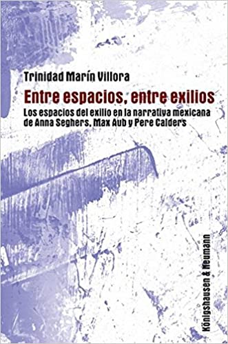 Imagen de portada del libro Entre espacios, entre exilios