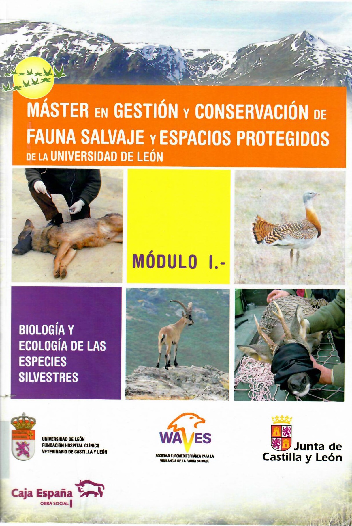 Imagen de portada del libro Master en Gestión y Conservación de Fauna Salvaje y Espacios Protegidos de la universidad de León. Módulo I, Biología y ecología de las especies silvestres