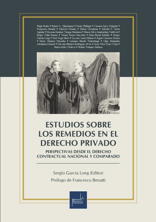 Imagen de portada del libro Estudios sobre los remedios en el derecho privado