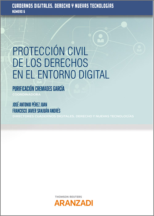 Imagen de portada del libro Protección civil de los derechos en el entorno digital