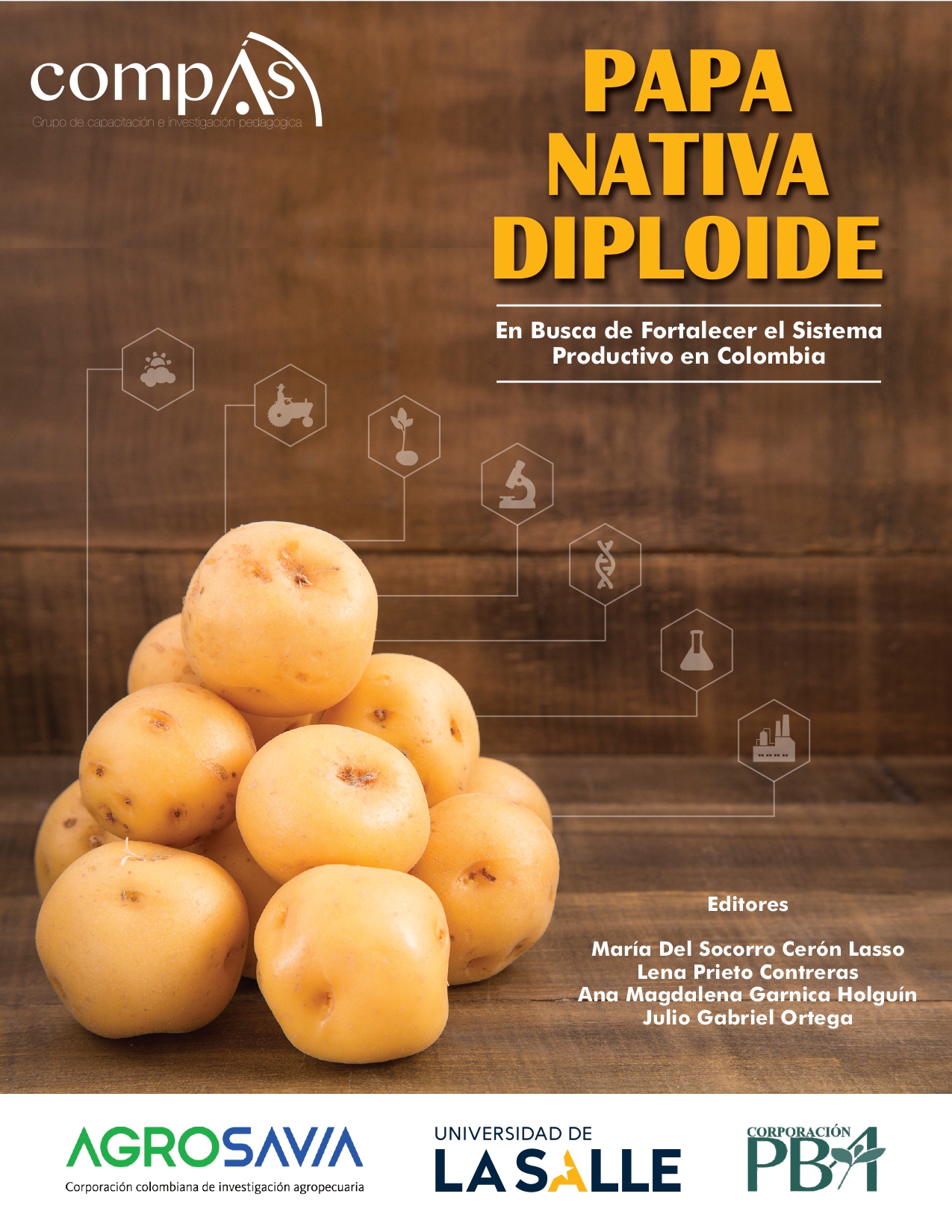 Imagen de portada del libro Papa Nativa Diploide, En Busca de Fortalecer el Sistema Productivo en Colombia