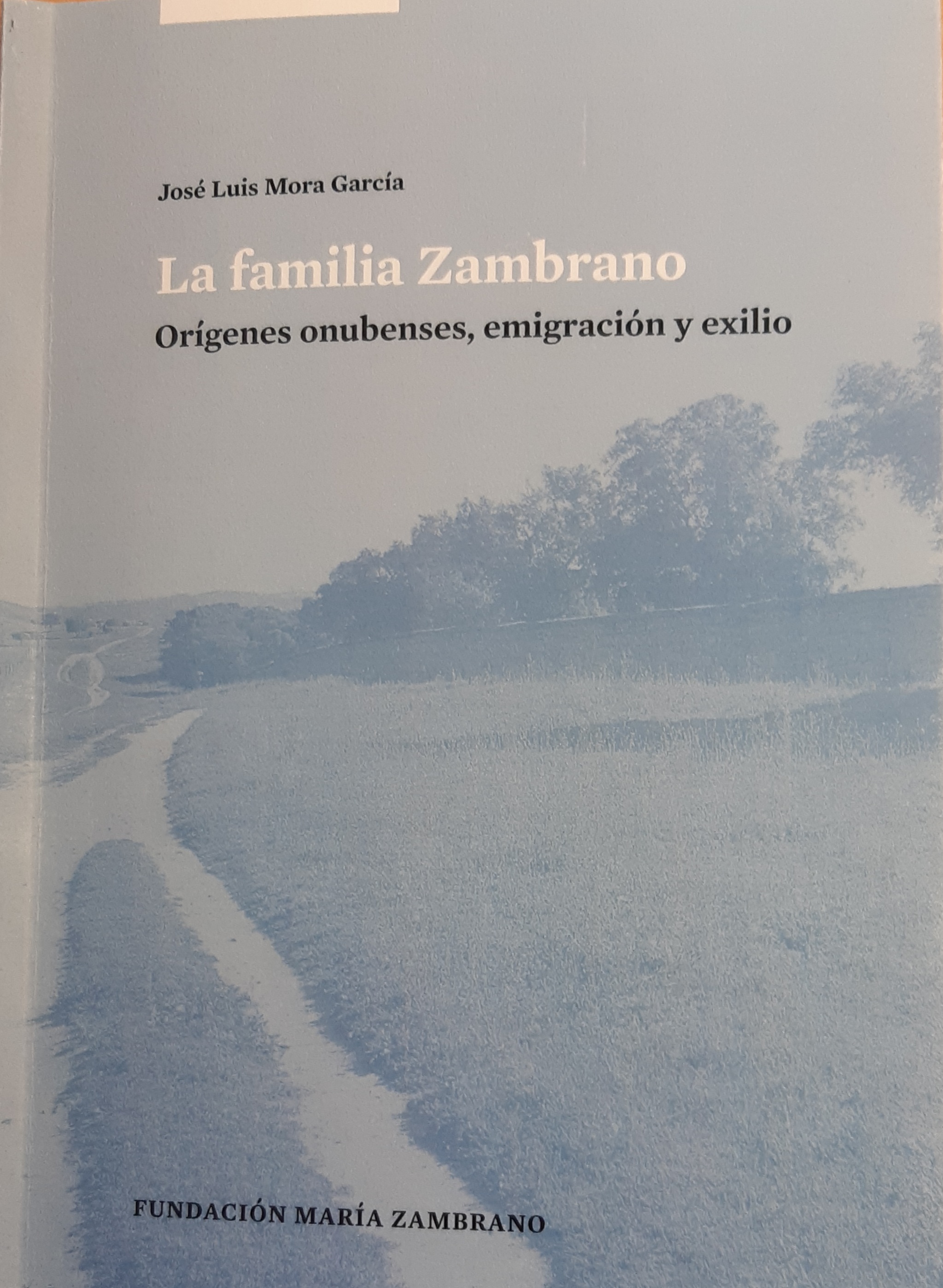 Imagen de portada del libro La familia Zambrano