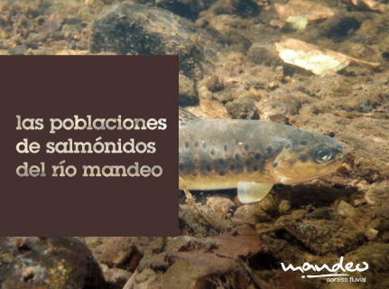 Imagen de portada del libro Las poblaciones de salmónidos del Río Mandeo