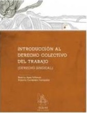 Imagen de portada del libro Introducción al derecho colectivo del trabajo