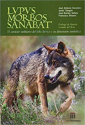 Imagen de portada del libro Lupus morbos sanabat