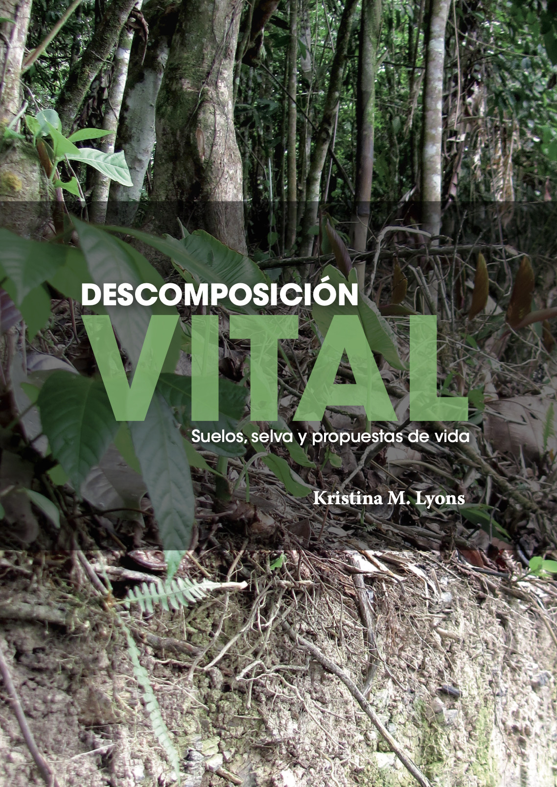 Imagen de portada del libro Descomposición vital