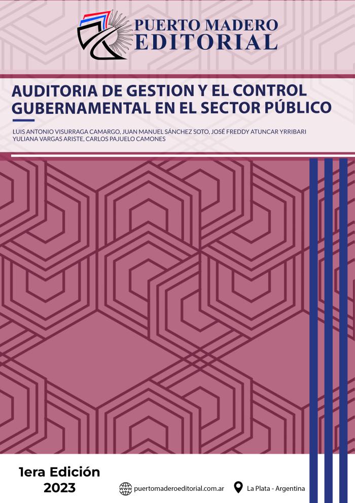 Imagen de portada del libro Auditoria de gestión y el control gubernamental en el sector público