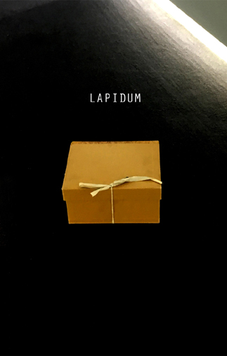Imagen de portada del libro Lapidum