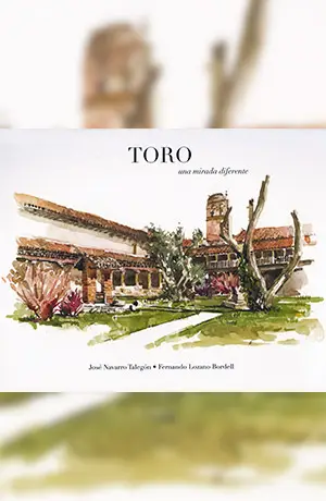 Imagen de portada del libro Toro: una mirada diferente