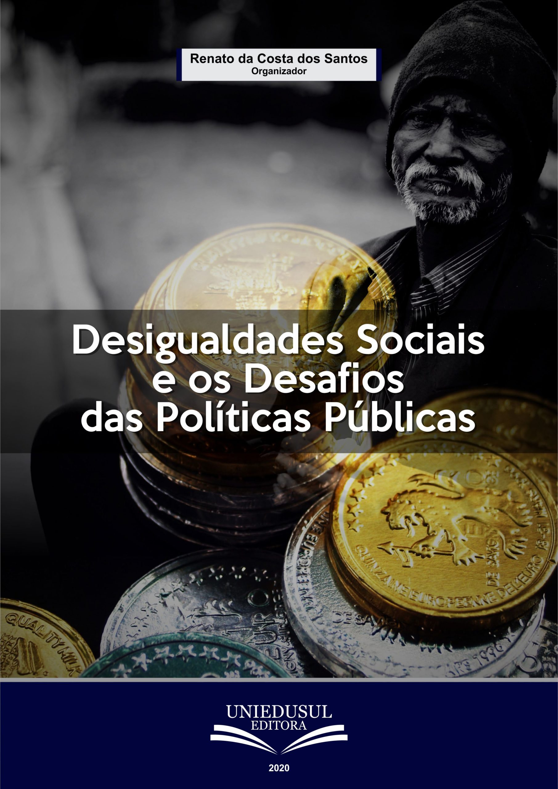 Imagen de portada del libro Desigualdades sociais e os desafíos das Políticas Públicas